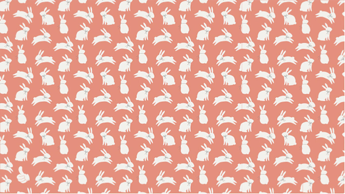 Find It! Spring Edition image number 3